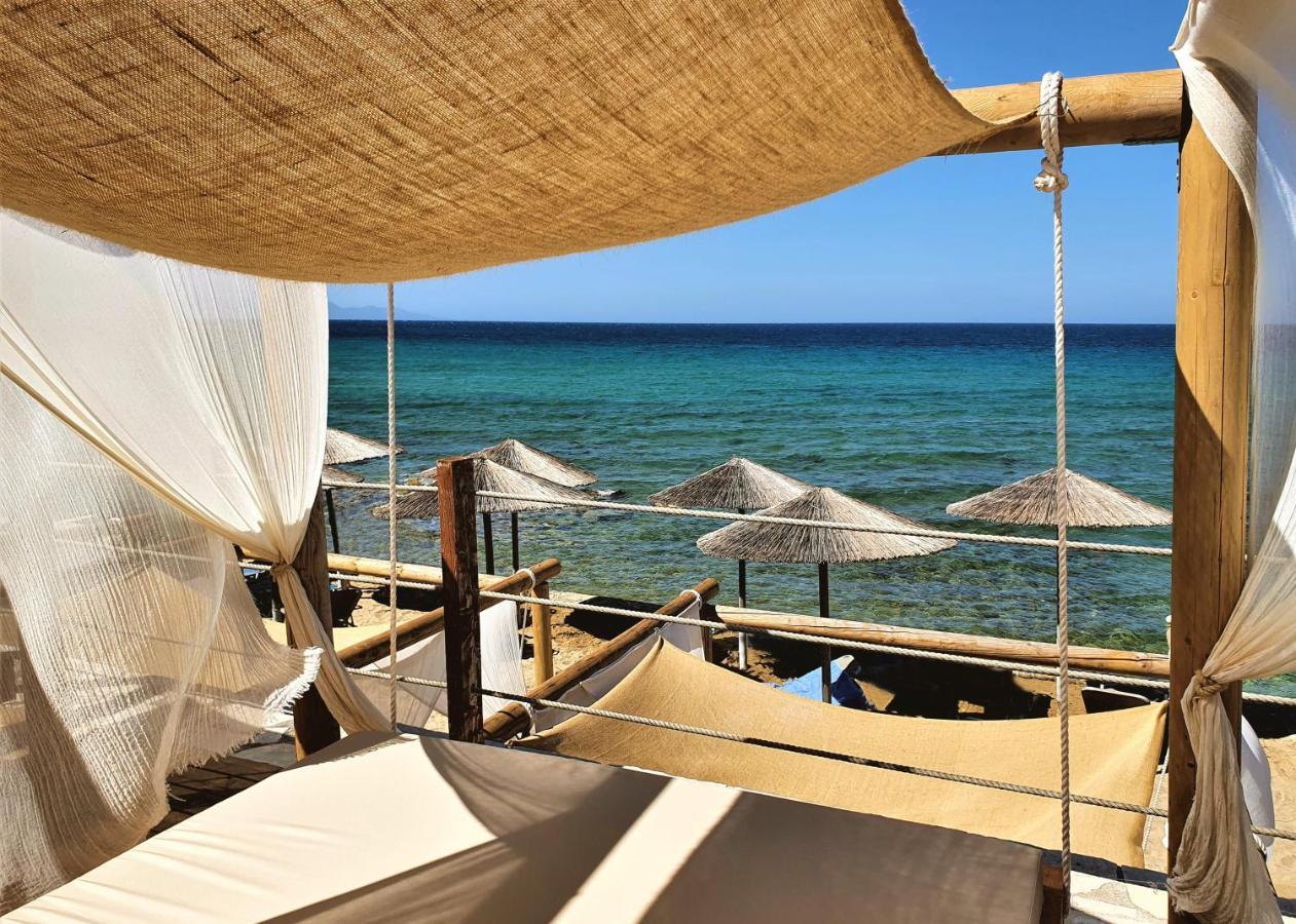 Отель Tsamis Zante (adults Only) Psarou (Zakynthos)