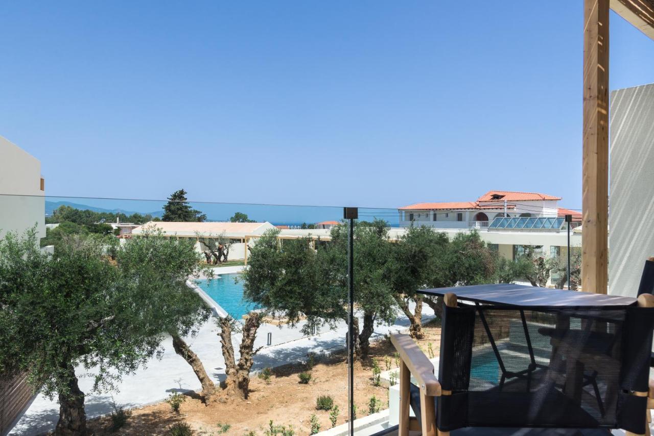 Tsamis Zante (adults Only)