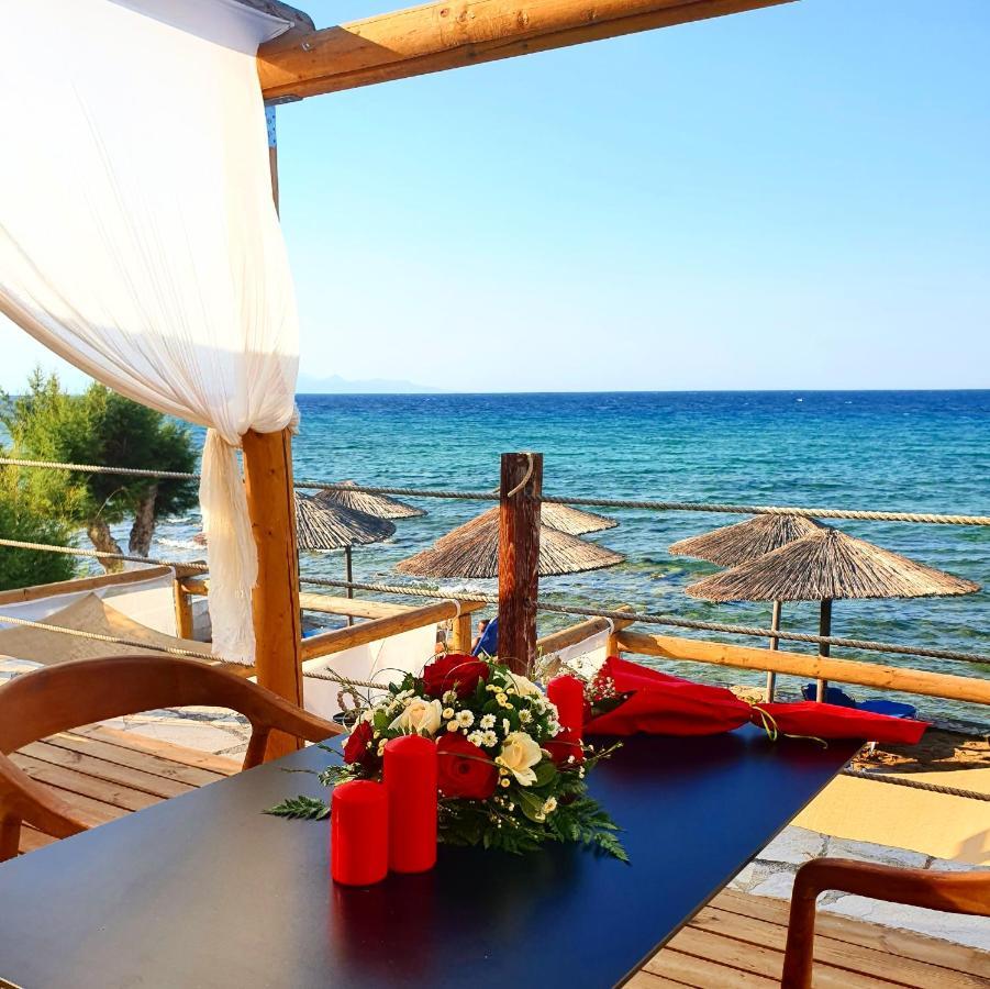 Tsamis Zante 5* Psarou (Zakynthos)